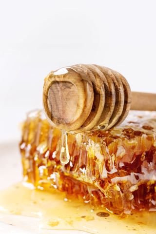 honey-in-honeycombs-2023-11-27-04-52-24-utc